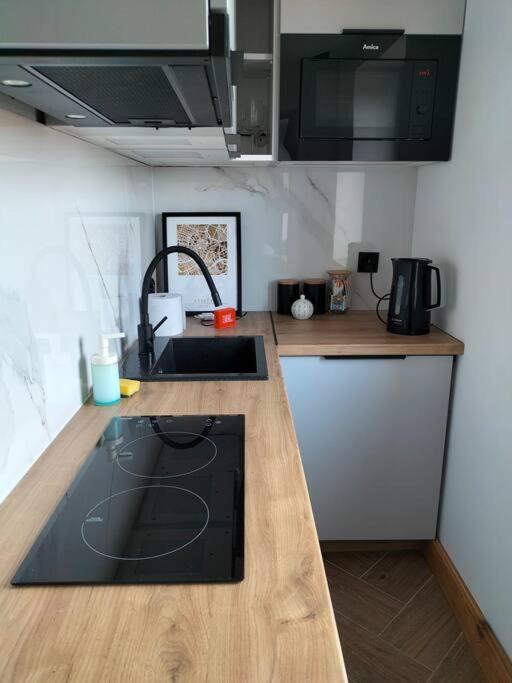 Uroczy Apartament W Centrum Krakowa Экстерьер фото