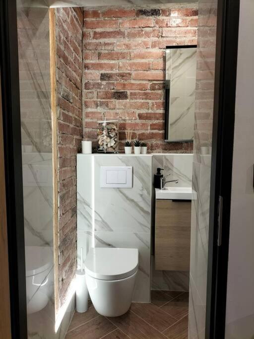 Uroczy Apartament W Centrum Krakowa Экстерьер фото