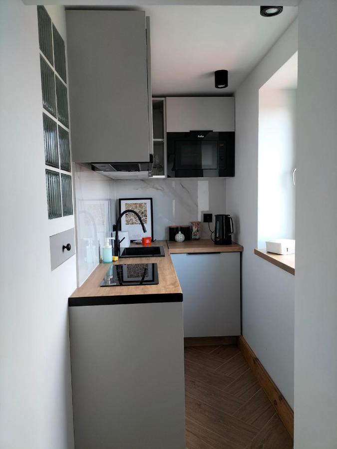 Uroczy Apartament W Centrum Krakowa Экстерьер фото